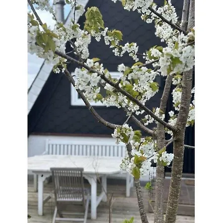 Anna Schlei Comfortable Holiday home