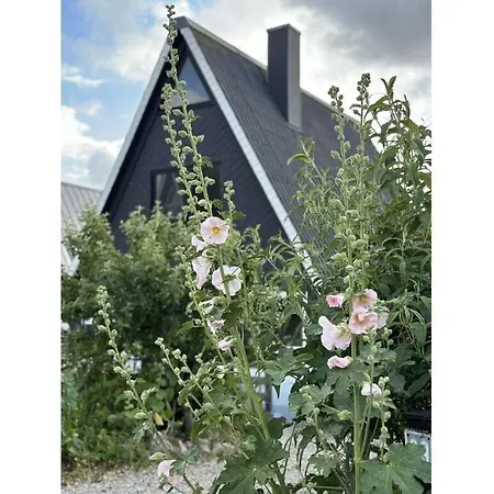 Anna Schlei Comfortable Holiday home