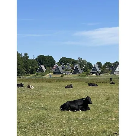 Anna Schlei Comfortable * Klein Brodersby