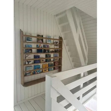 Anna Schlei Comfortable