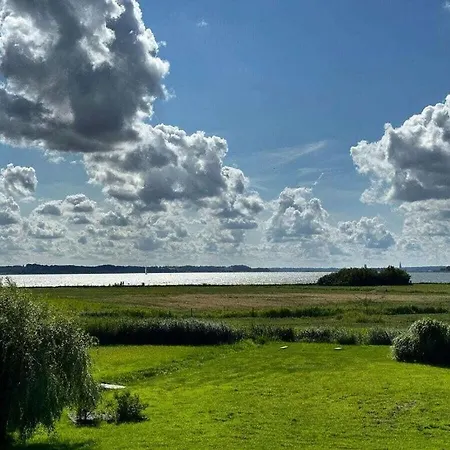 Anna Schlei Comfortable *